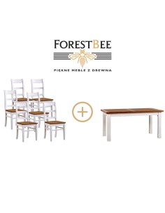 DWUKOLOROWY ZESTAW  DLA 6 OSÓB