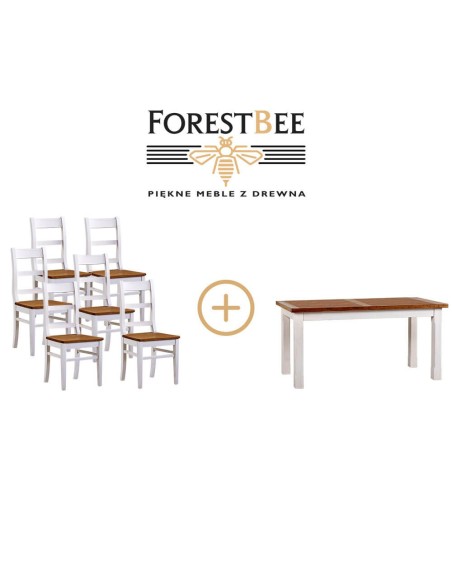 DWUKOLOROWY ZESTAW  DLA 6 OSÓB